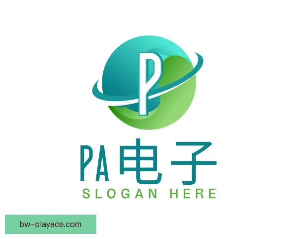 了解PA电子